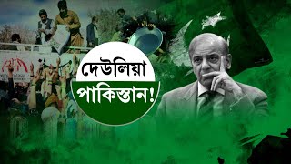 Pakistan Economic Crisis: পাকিস্তানের 'ভাঁড়ে মা ভবানী', কেন দেউলিয়া প্রতিবেশী দেশ?