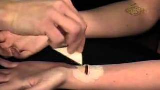 How to Apply EZ FX Slashed Wrist Kit, CSEZ018, FA210