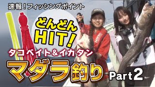 スーパータコベイトとスーパーイカタンBIGで狙うマダラ釣り！Part2/2【中深場釣り】