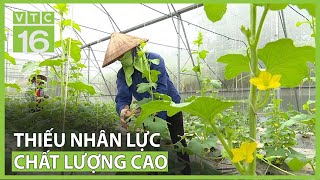 Thiếu nhân lực nông nghiệp chất lượng cao | VTC16