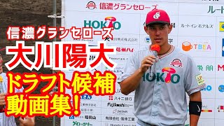 大川陽大！(信濃グランセローズ)ＮＰＢドラフト候補動画集！