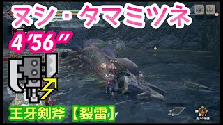 【MHRise】集会所★7「千紫万紅、ヌシ・タマミツネ」4′56″04 スラアクソロ/Apex Mizutsune Switch Axe solo