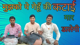 मुझको ये गेहूं की कटाई मार डालेगी ( लामणी  ) New comedy song Naveen Chuliana Deepak Sharma Jitender