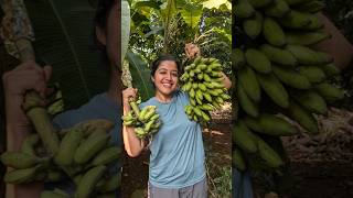 Mini Vlog 113 #kokan #banana #homegrown #fruits #swanandisardesai