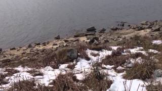 Grimwith Reservoir