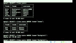 MySQL - Search Database - BASH - Linux