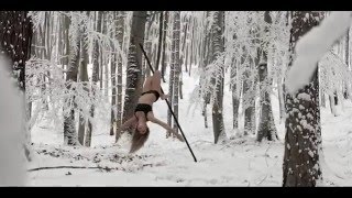 Winter Pole Dream