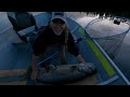 fishing for giant lake trout in northern saskatchewan