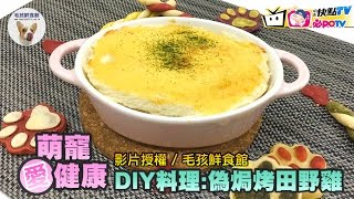 色香味滿分！寵物料理「偽焗烤田野雞」DIY速成法《萌寵愛健康》