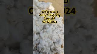 #Cotton ఈరోజు ఖమ్మం మార్కెట్ పత్తి ధర 03/12/2024#khammamcottonprice#patthidhara #patthi