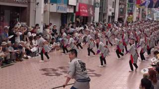 帯屋町筋　第63回よさこい祭り本祭2日目　帯屋町筋競演場　４K　2016．8．11