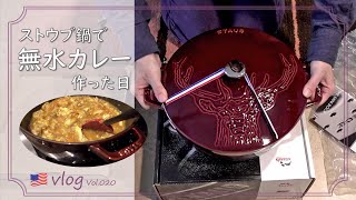 【アメリカ生活vlog】ストウブ鍋で絶品無水カレー！野菜の旨味がギューーー‼/野うさぎに会いに週末ロングお散歩