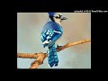 {432Hz} Harp Koto Type Beat - Blue Cardinal [Prod.KingsBeats]