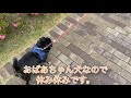 朝の散歩🐕‍🦺