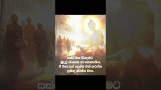 උතුම් තෙරුවන් සරණින් නිදුක් නිරෝගී වාසනාවන්ත ජීවිතේකට ආශිර්වාද වේවා❤️🙏 |බුදු සරණයි 🙏✨️ |#subscribe👈😇