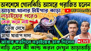 অবশেষে গোলকিডি আসরে পরাজিত হলেন! আড়ষা থানার টাইগার কাড়া। বাড়ি এসে কী কান্ড করল দেখুন তাড়াতাড়ি