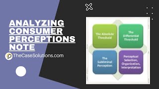 Analyzing Consumer Perceptions Note | Case Solution