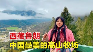 骑着踏板摩托车跨越3800公里，美丽终于来到西藏鲁朗，这太美了！【杨美丽】