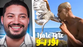 REACTION BN NSNS | 🪿🍪اللّي فهم شي حاجة يشرح لينا 🤯🚨🔥