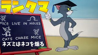 猫ランクマッチ！最強になる日は近い。【トムとジェリーチェイスチェイス】