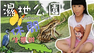 【SaSa 愛自遊】天水圍濕地公園｜彈塗魚 紅樹林浮橋 Tin Shui Wai Wetland Park