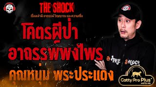 โคตรผีป่า อาถรรพ์แห่งพงไพร คุณหนุ่ม พระประแดง l TheShock13