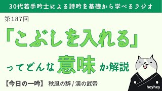 【質問回答】「こぶしを入れる」ってどんな意味か具体的に解説＜後半：秋風の辞＞