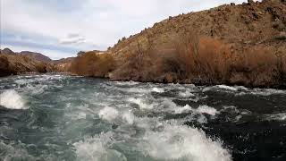 Whitehorse Rapid, Deschutes River February 2022