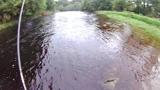 4lb Salmon on the Owenkillew River Ireland  23.9.10