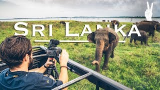 Awesome Elephant Encounter on Safari in Sri Lanka