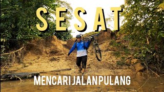 SESAT DI HUTAN SUNGAI BUAH