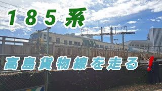 【2023/10/29】団体臨時列車 185系で行く根岸線・武蔵野線50周年記念列車の旅