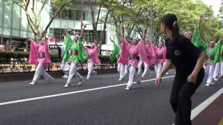 子鳩子兎 横浜百姫隊　スーパーよさこい２０１４　表参道アベニュー