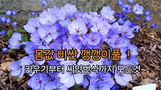 아하~ 그렇구나 !            간단한 꿀팁공개 ~