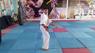 kata sushiho kyokushinkai karate بشار ناجح