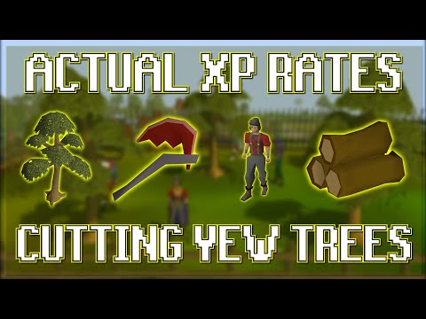 How much XP do yew trees give?