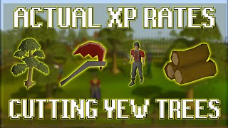 Actual XP Rates For Cutting Yew Trees in OSRS