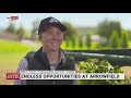 inside look into the thoroughbred industry careers program at arrowfield stud