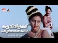 കളരിവിളക്ക് തെളിഞ്ഞതാണോ kalari vilakku thelinjathaano song oru vadakkan veeragadha ks chithra