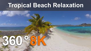 Caribbean Paradise. Tropical Beach Relaxation. 360  in 8K