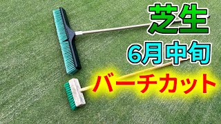 【芝生】6月中旬のバーチカットと新しいブラシ購入