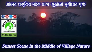 গ্রামের প্রকৃতির মাঝে চোখ জুড়ানো সূর্যাস্তের দৃশ্য I Sunset Scene in the Middle of Village Nature