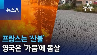 불타는 유럽…프랑스는 ‘산불’ 영국은 ‘가뭄’에 몸살 | 뉴스A