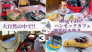 🐩【犬宿･大分】# 2+寄り道3選（日田周辺）自然の中でcafe ／ハンモックカフェ ／地鶏炭火焼 ／ドッグラン／@inuyado