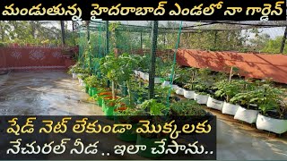 Terrace Garden /cheapest easiest shade for plants/ super idea/ఎంత ఎండ ఉన్నా మొక్కలు సేఫ్ గా ఉంటాయి.