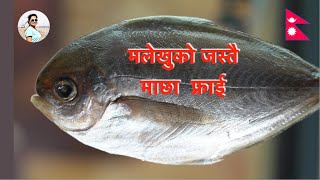 मलेखुको जस्तै माछा  फ्राई बनाउने तरिका | How to make Nepali Fish Fry at home |How to fry whole fish