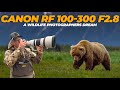 Canon RF 100-300 f2.8: A Game Changer