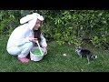 Doing An Easter Egg Hunt For My Dogs