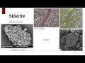 gonçalves gabriel biogenicity influences in fe2 minerals by extreme acidophilic bacterium