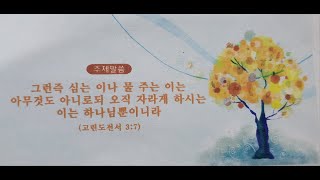 20241013 금호교회 청소년부 주일예배 - 한 성령이 그의 뜻대로(고린도전서12:11)